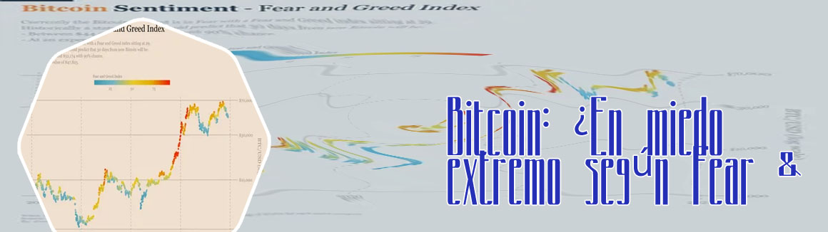 Btc fear greed
