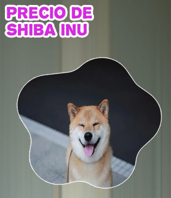 Precio shiba