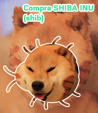 Valor shiba inu